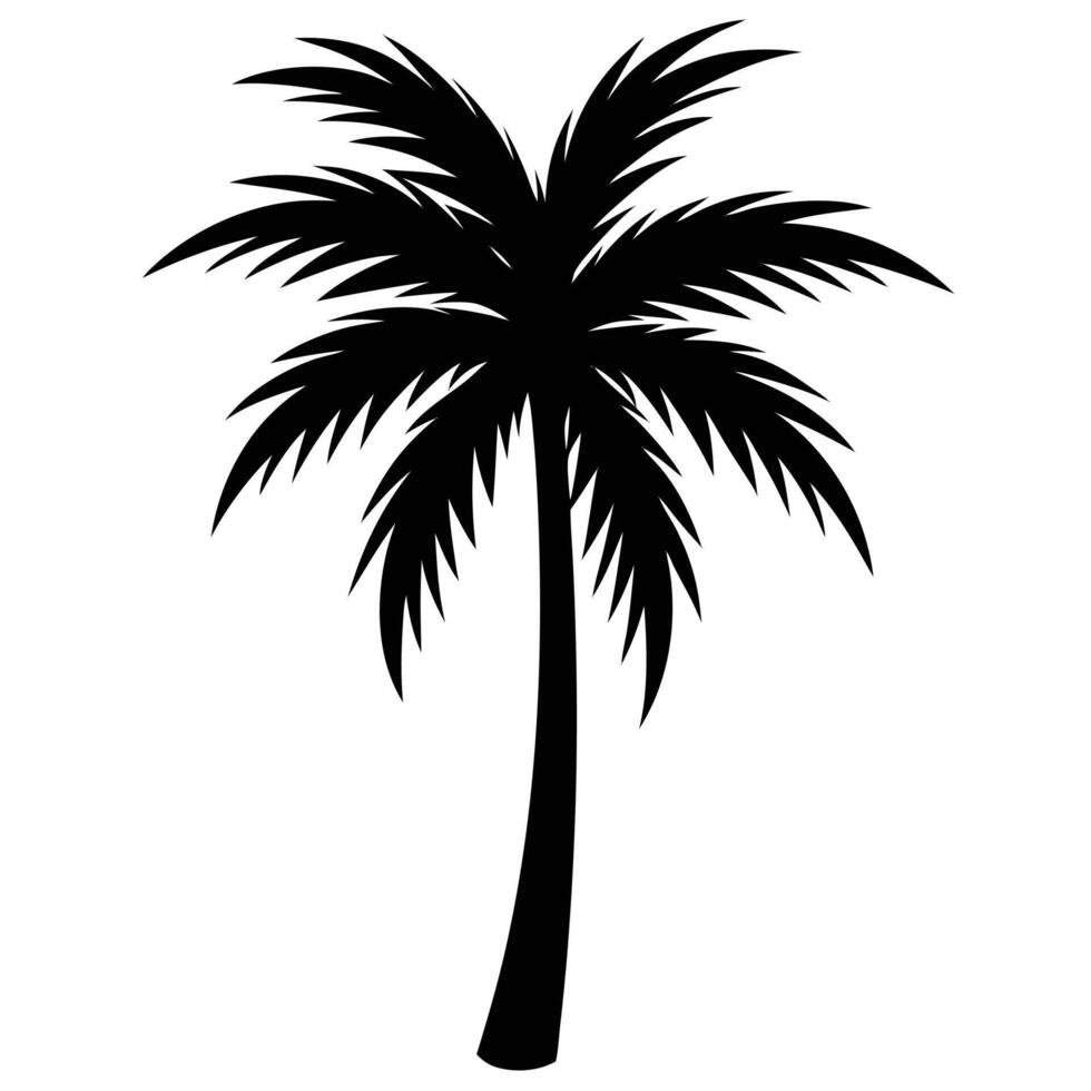 Elegant Black Silhouette Of A Tropical Palm Tree On White Background vector