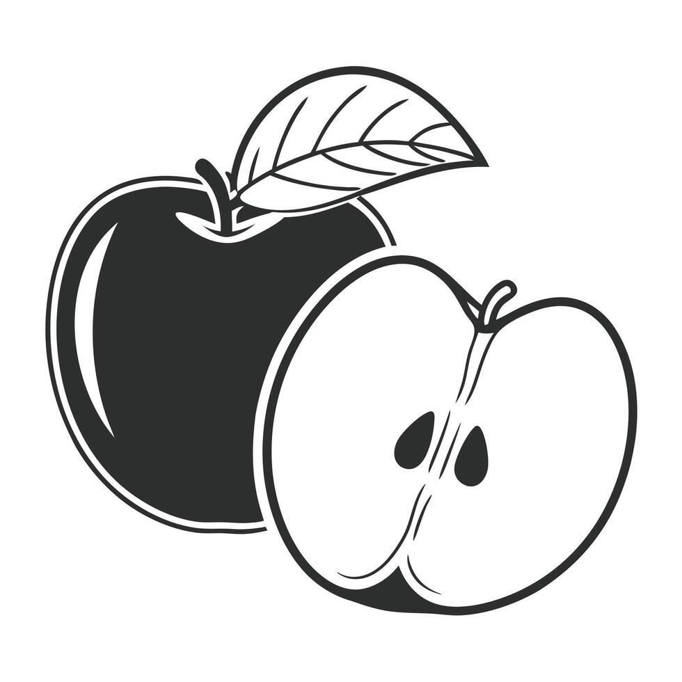 Monochrome Apple Illustration With Cross Section And Leaf Element vector
