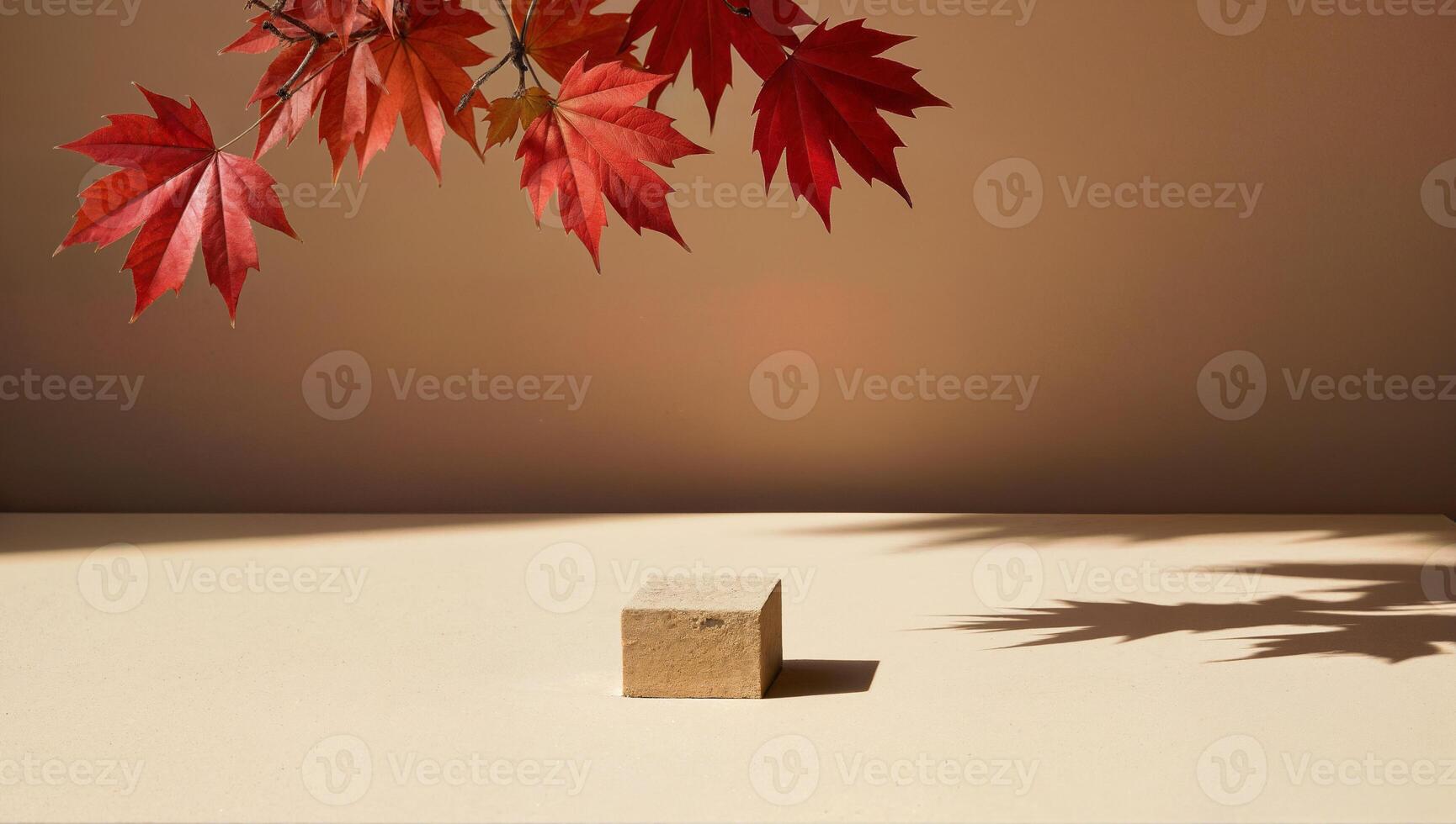 Red Maple Leaves and Shadowed Cube on Beige photo