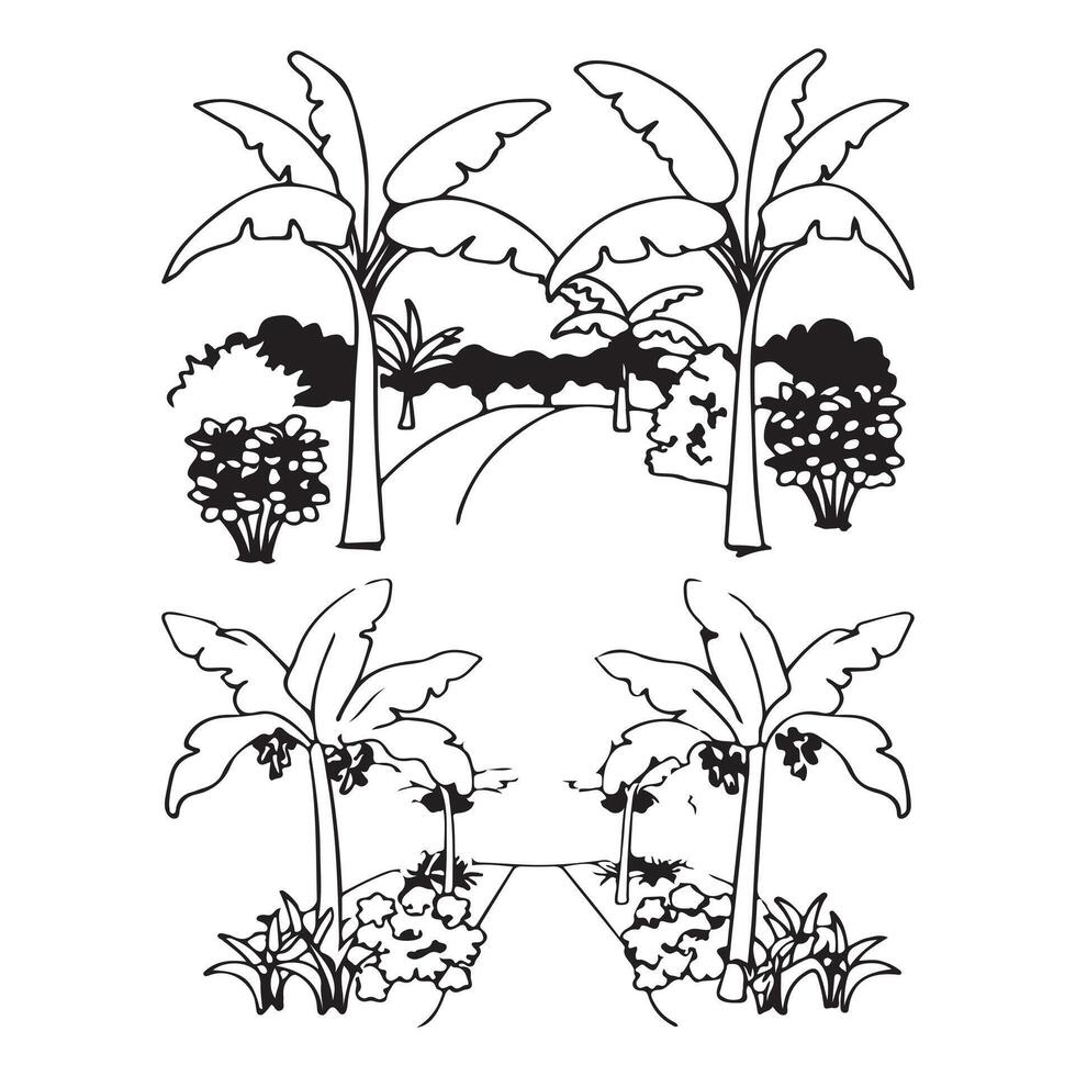 Beautiful green banana trees on a farm. vector