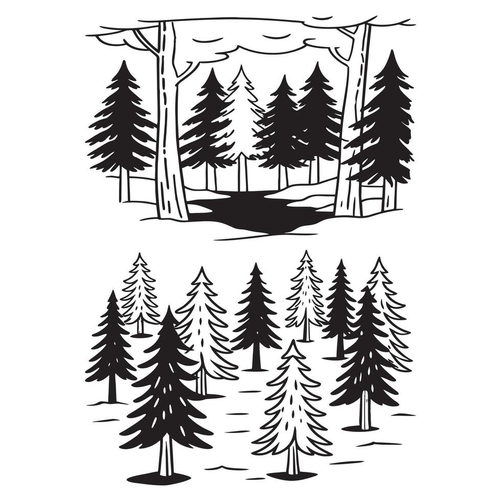 forest and pine trees vector