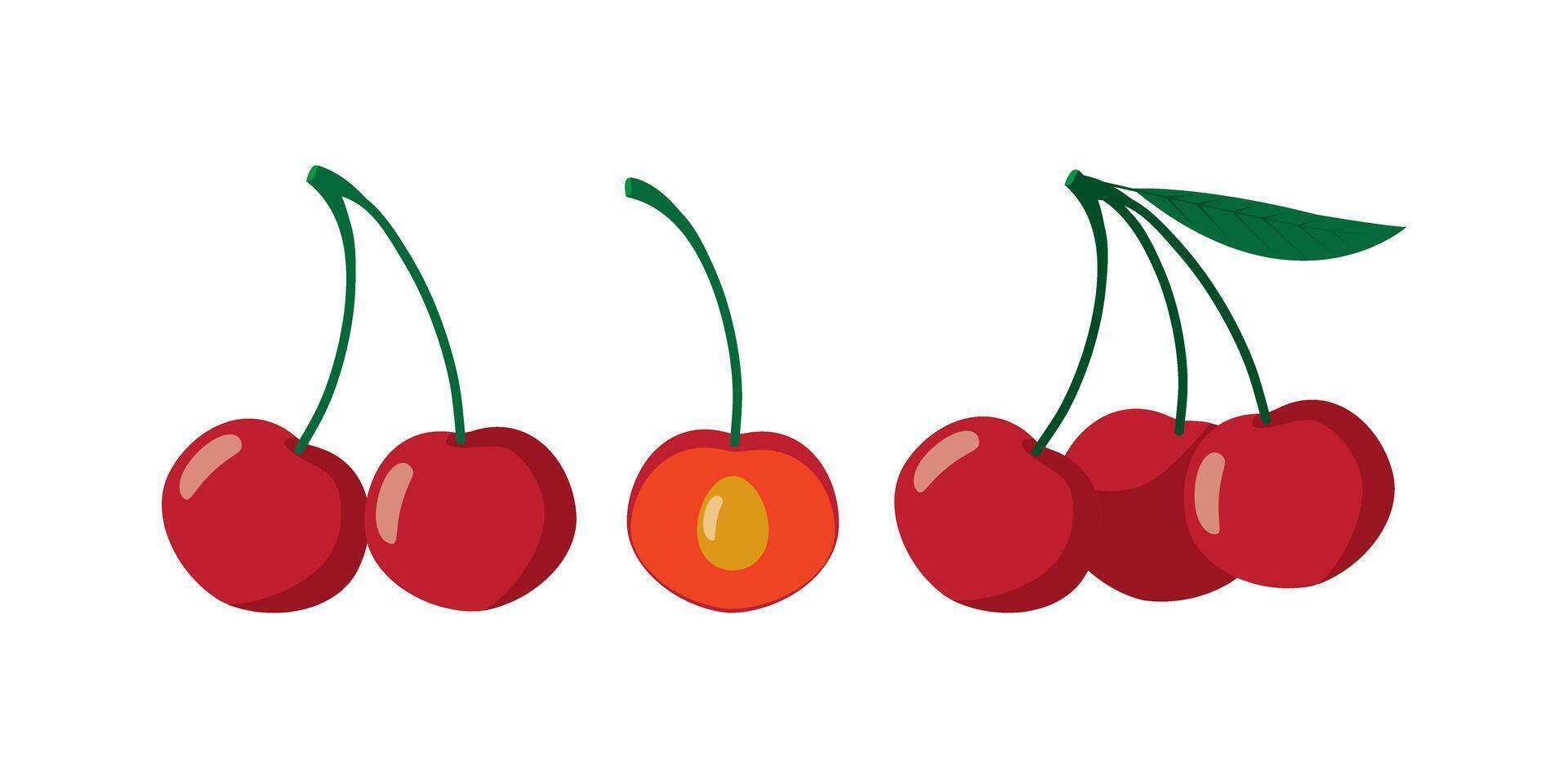 Cherry berry set. Juicy ripe cherries with leaves. Summer berries. Flat illustration isolated on white background vector