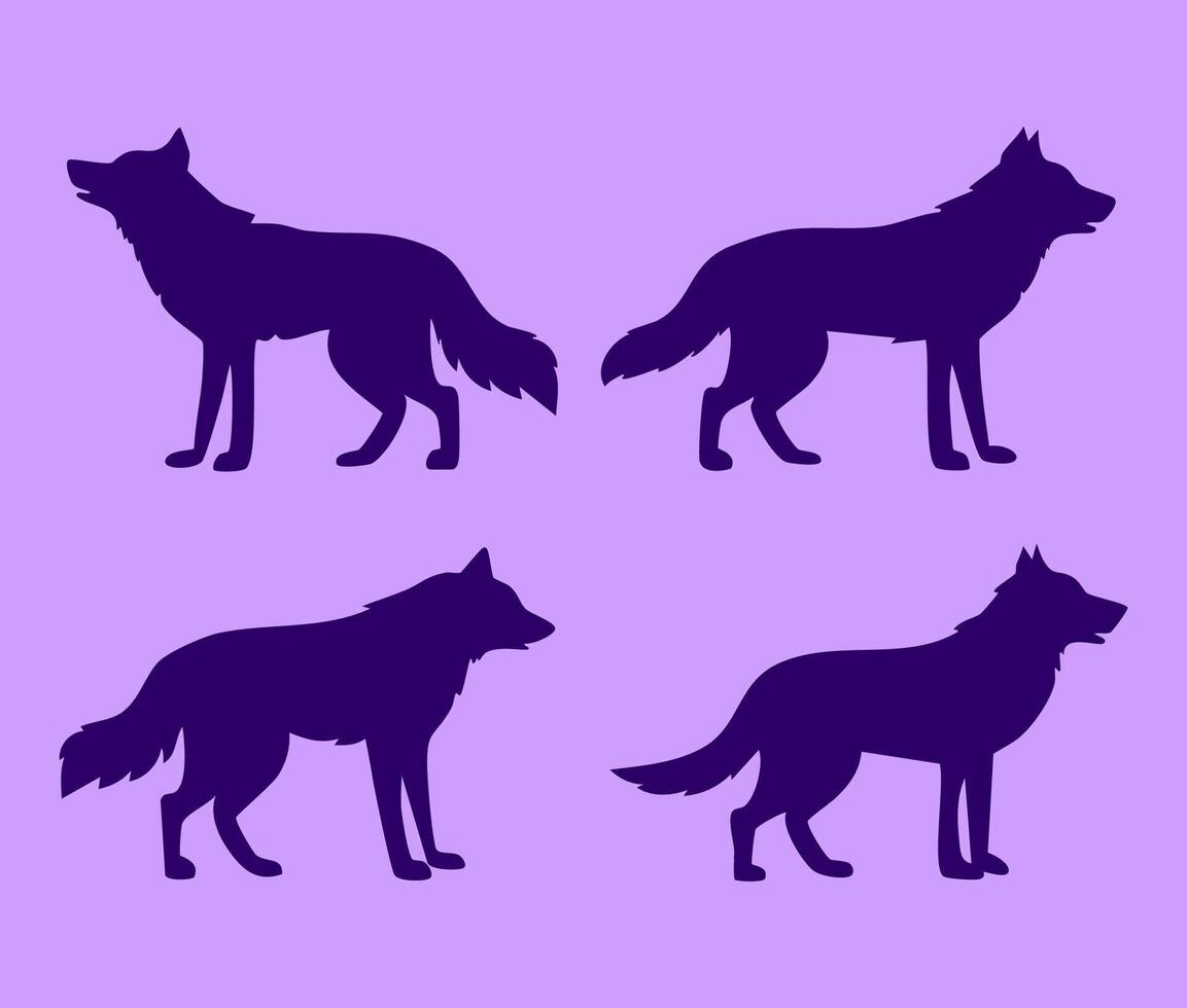 Four silhouettes of wolfs on a purple background vector