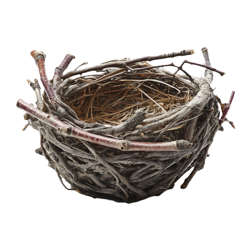 a bird's nest with twigs on it png