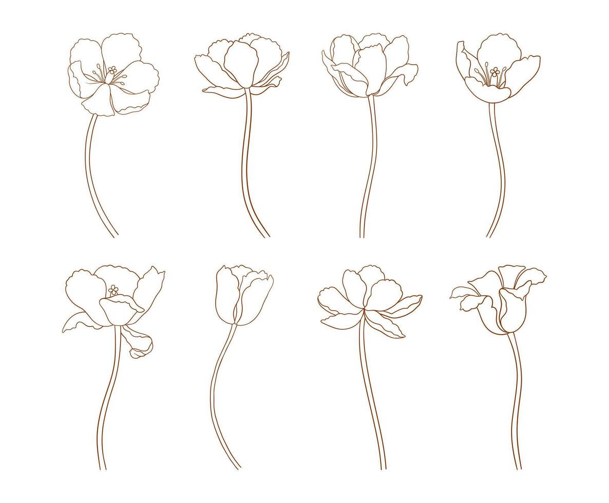 Tulips set, minimal contour. Flowers with stems, brown sketches. Beautiful spring decor. Drawn vintage elements in line art style for design, illustration vector