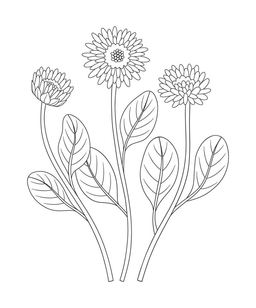 Set of three flowers with leaves. Bouquet of blooming perennial wild plants, wildflowers. Line art, minimal style, contour. Botanical hand-drawn elements for design projects vector