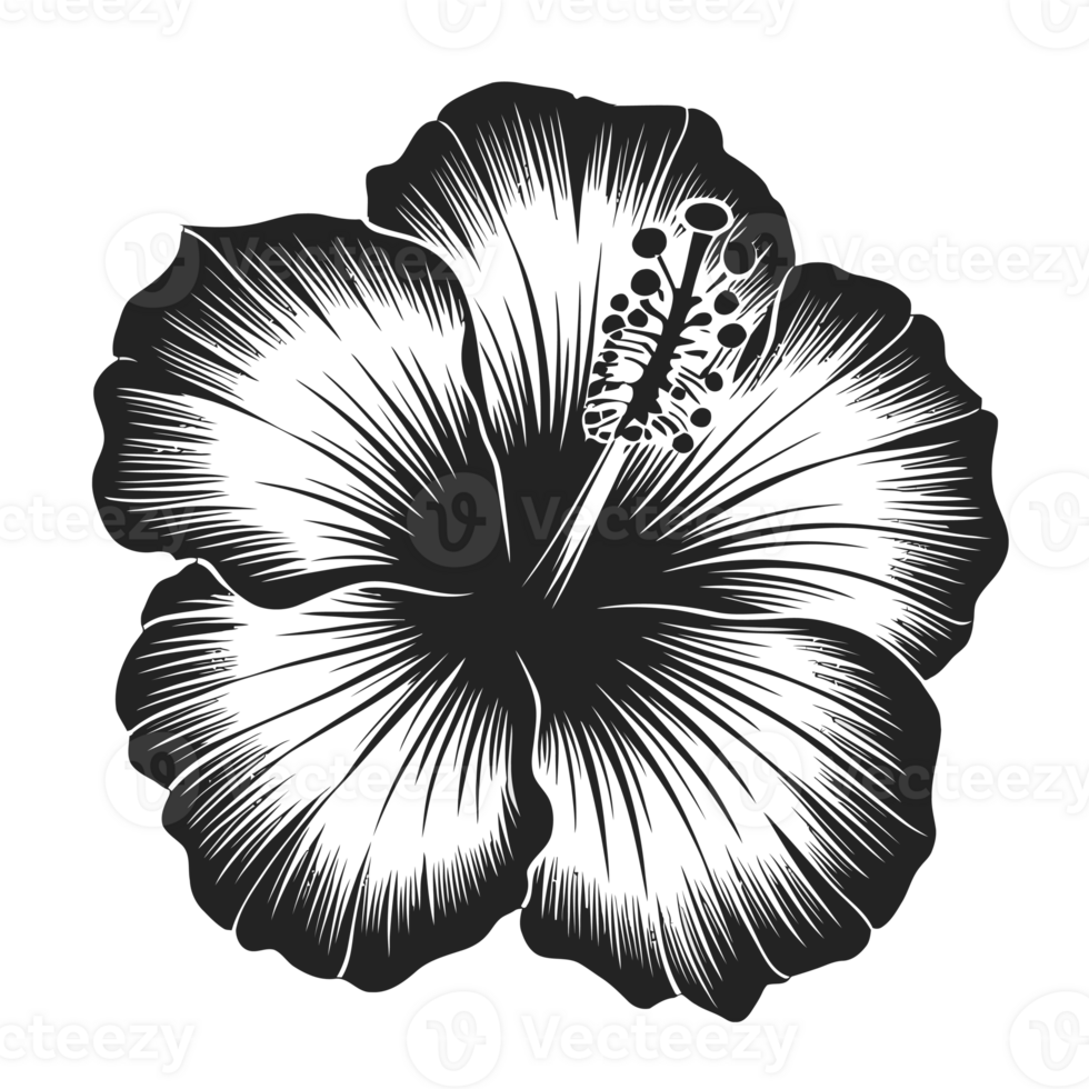 A bold black hibiscus flower design highlights intricate petal details and stamen structure. png