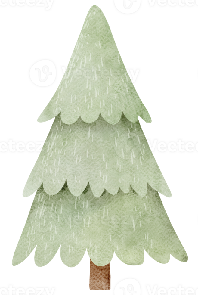 Watercolor Pine Tree clipart png