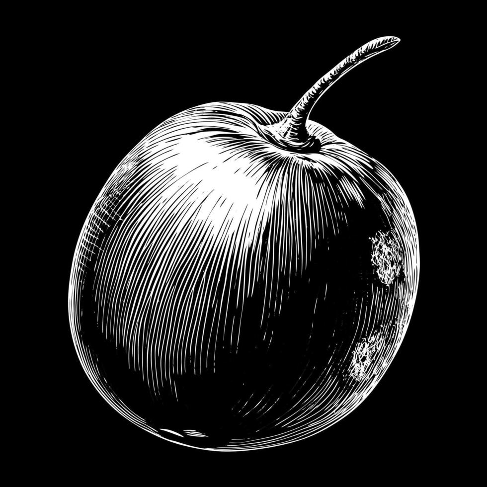 A black and white drawing of an apple vector