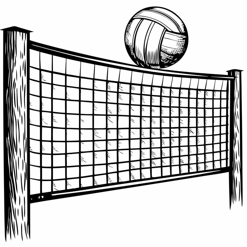 Hand Drawn Volleyball Net with Ball Illustration Black and White Art vector
