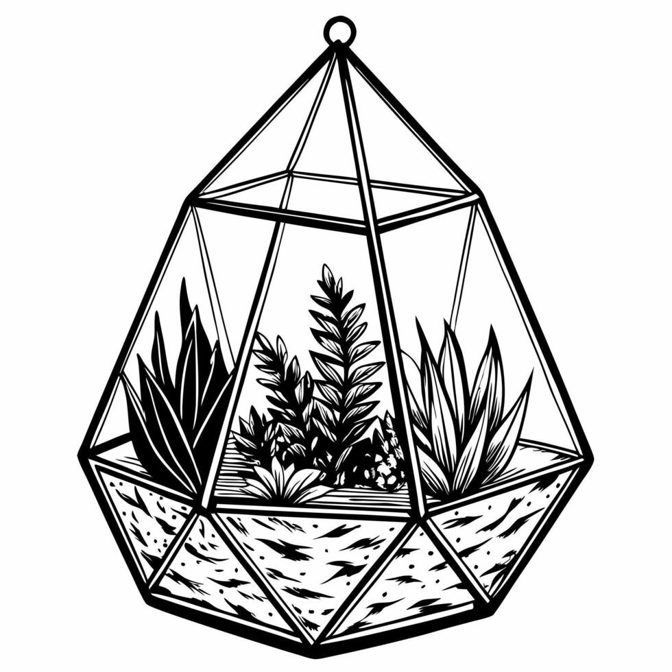 Monochrome Geometric Terrarium with Succulents Modern Botanical Line Art Illustration vector