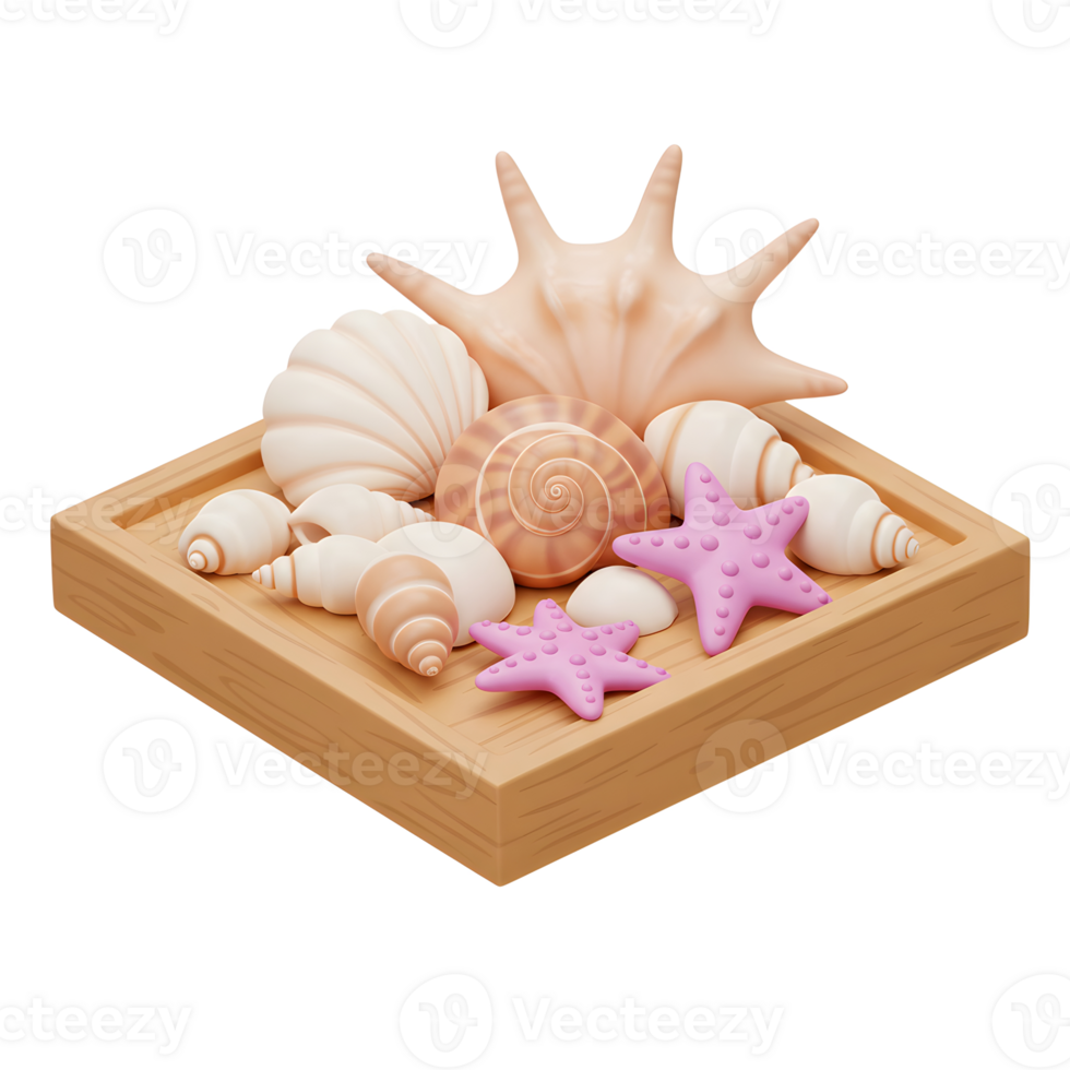 Seashells and Starfish Collection on Wooden Tray Still Life png