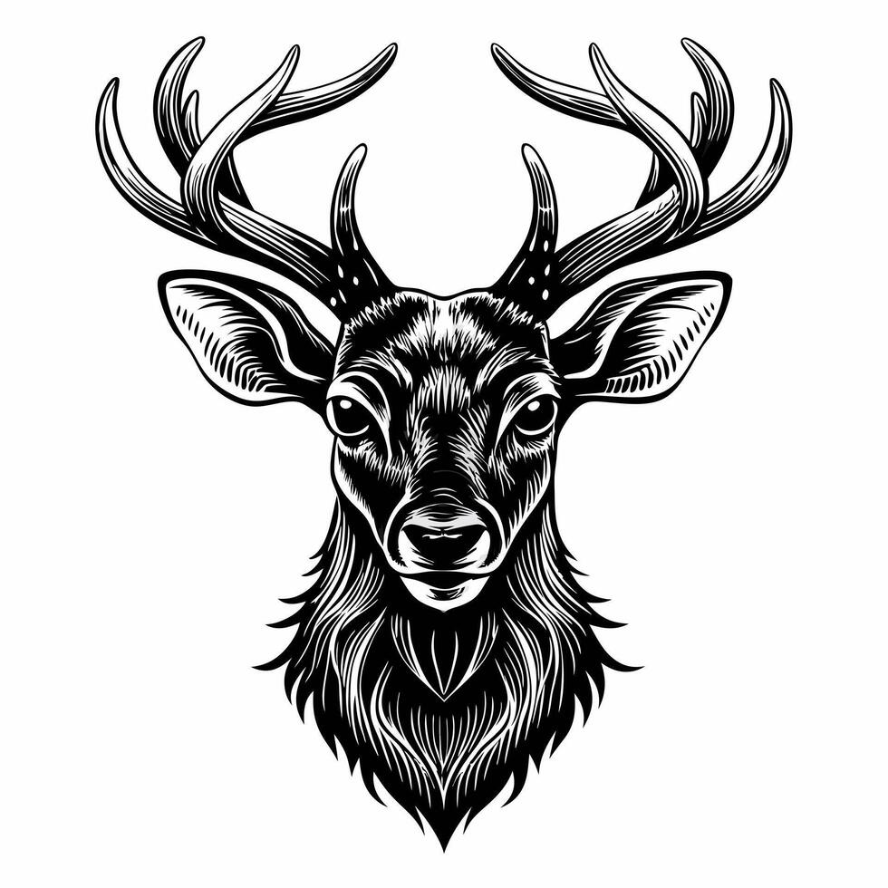 Intricate Hand Drawn Deer Illustration with Detailed Antlers for Wildlife Art vector