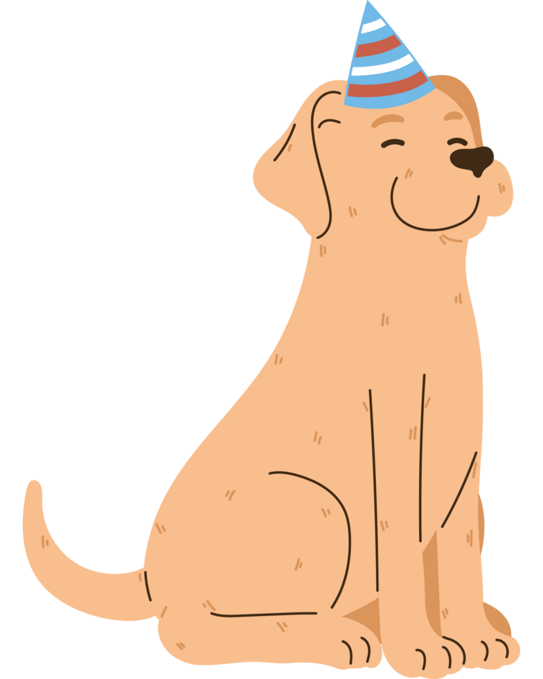 dog cartoon with party hat png