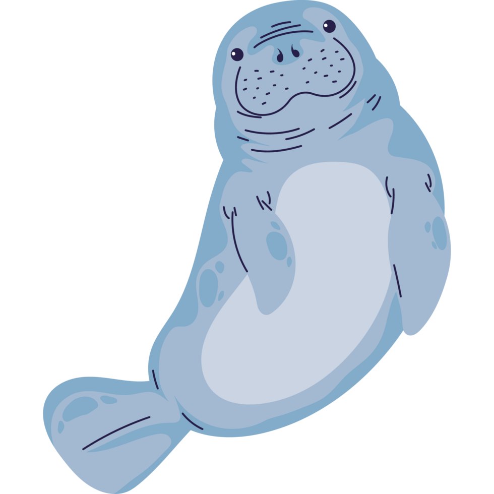 cute cartoon manatee png