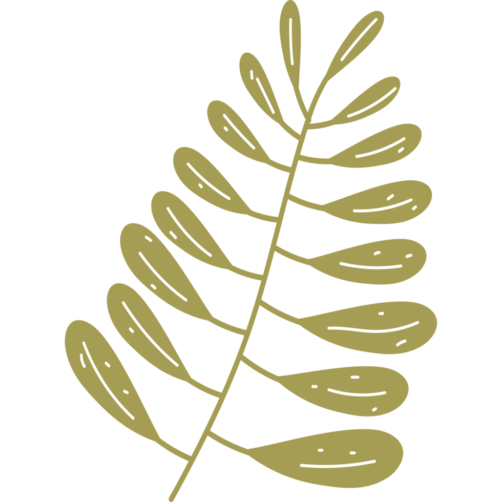 branch leaves nature element png