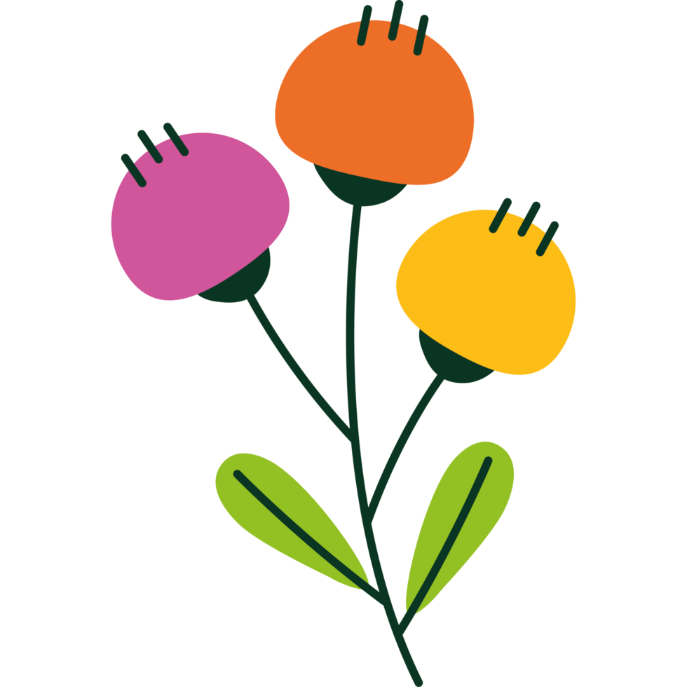 flowers and leaf nature element png