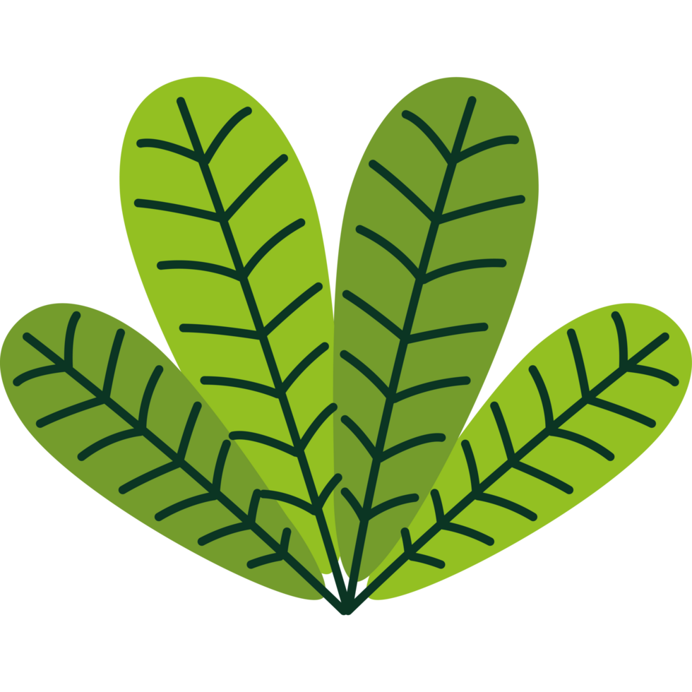 leaves nature element png