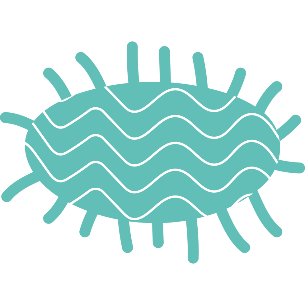 oval shape with lines hand drawn png