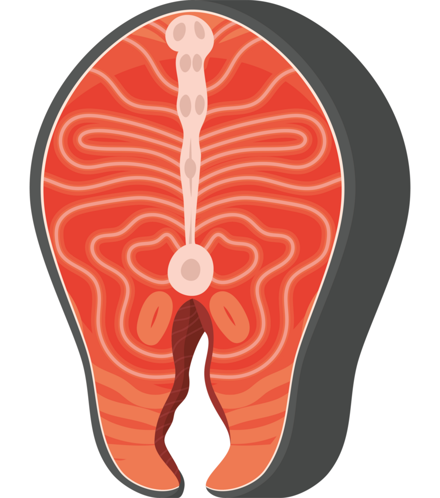 salmon steak design png