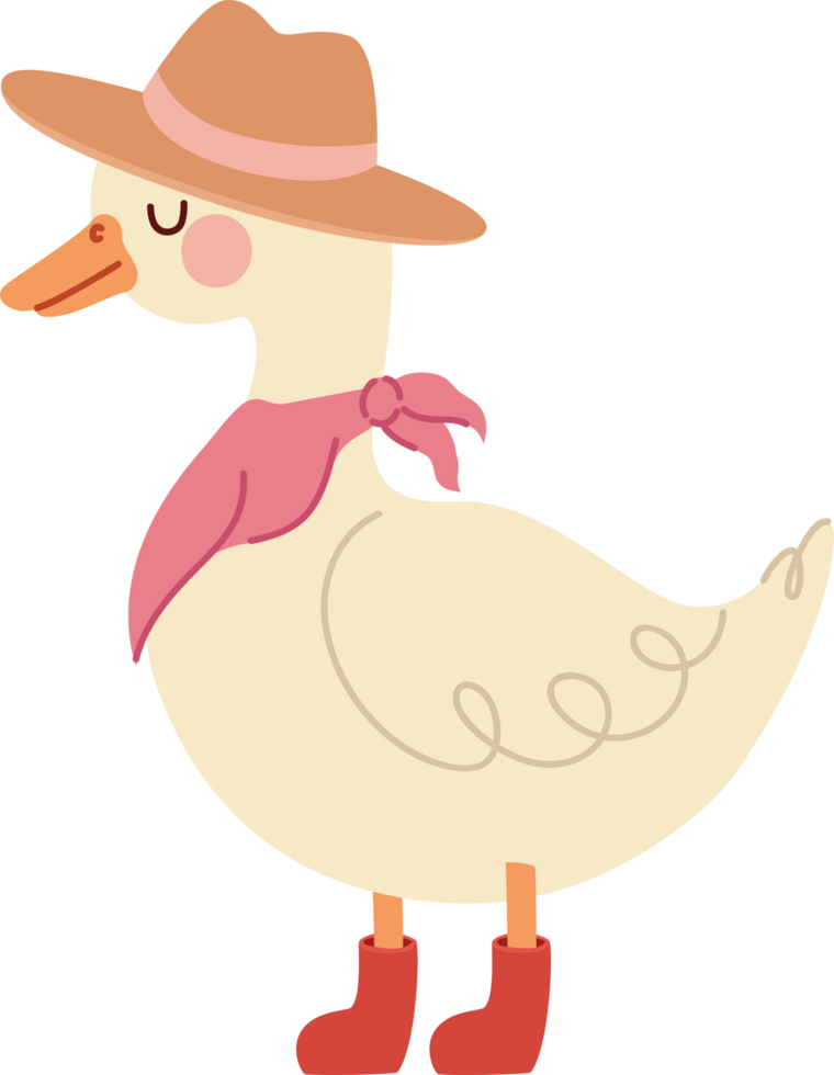duck with a hat png