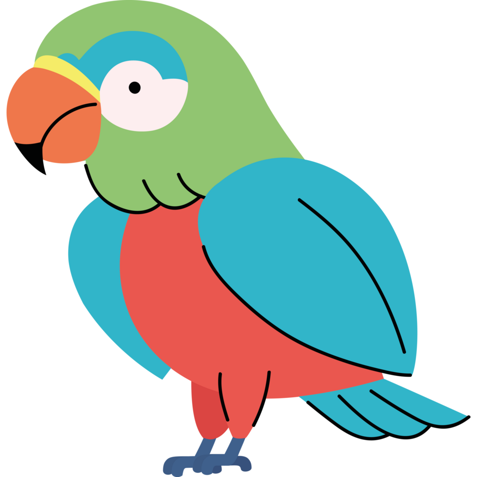 multi color parrot png