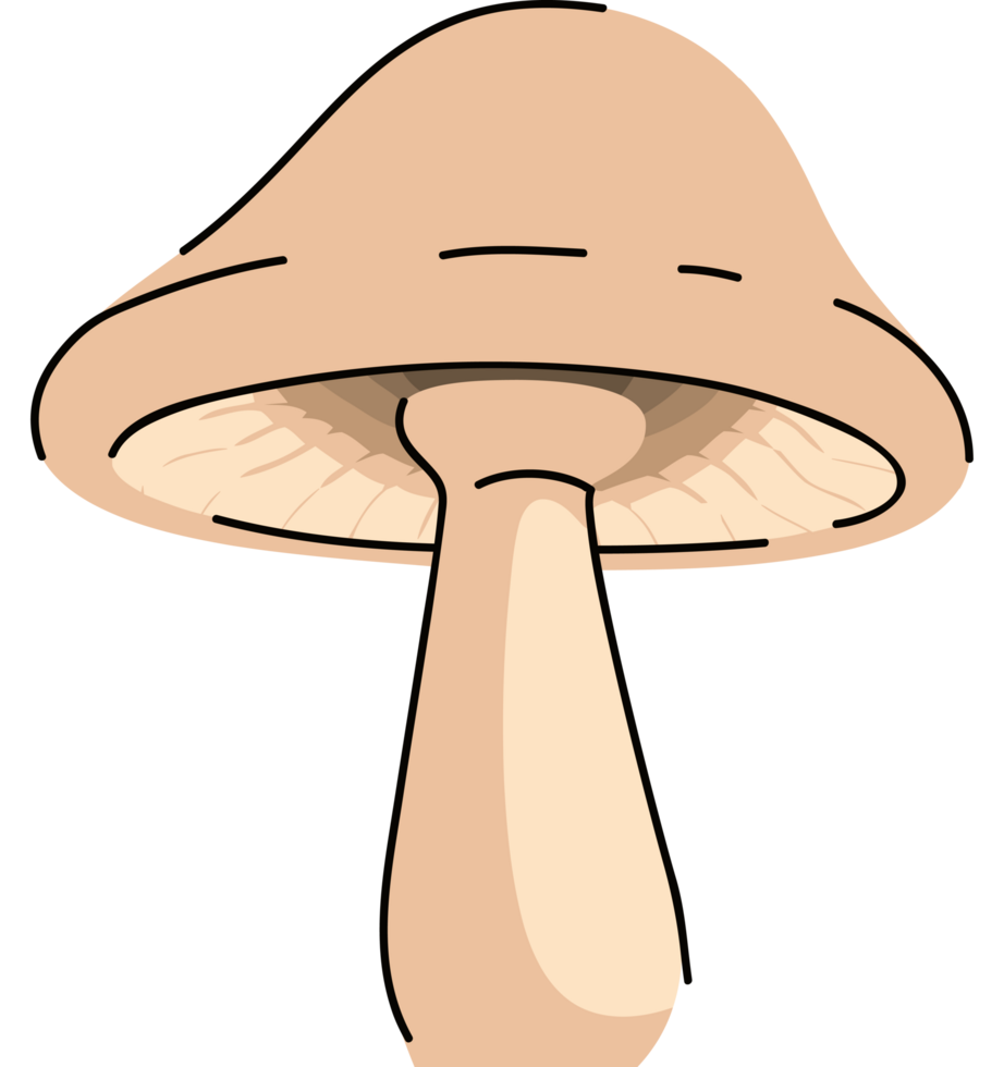 forest mushroom design png