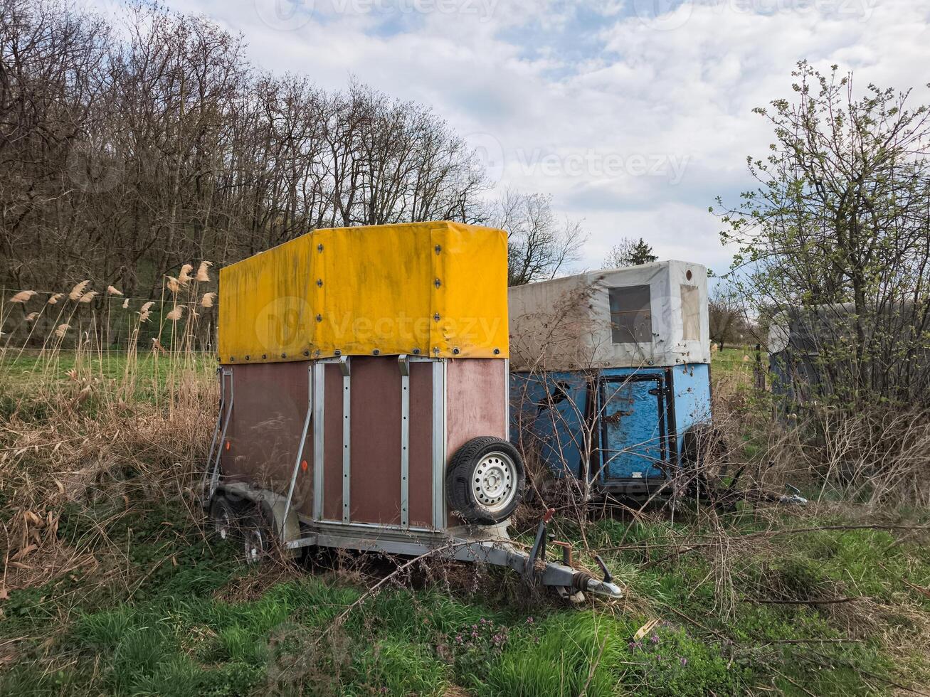Two weathered horse trailers sit abandoned in a field, awaiting their next journey under a cloudy sky photo