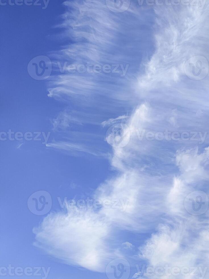 Cirrus clouds painting a deep blue sky pruhonice photo