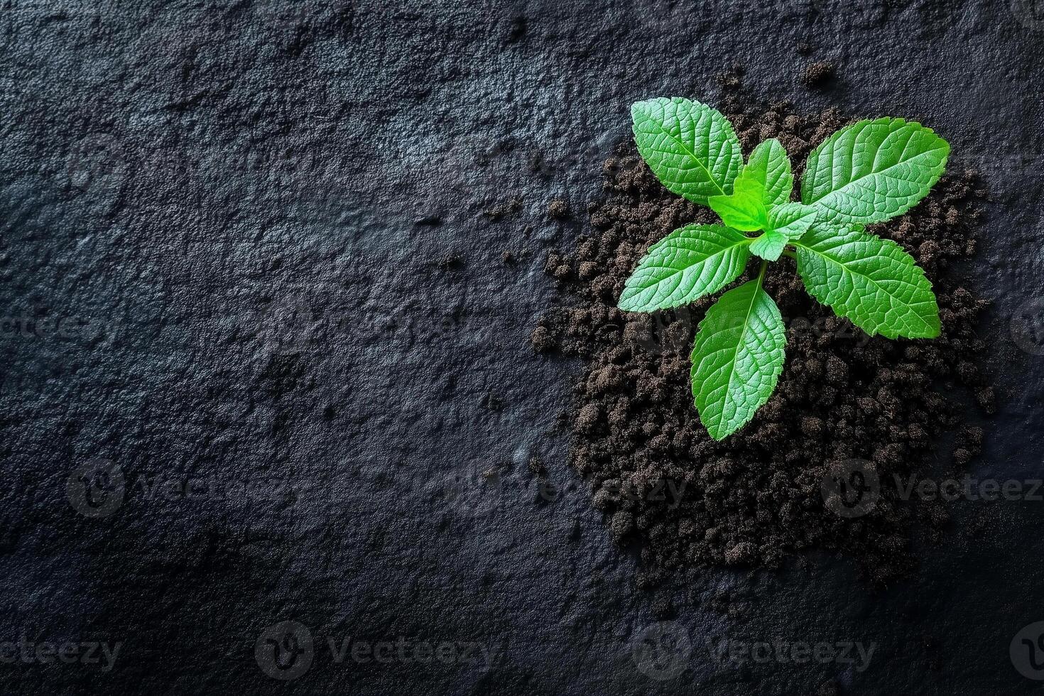 Celebrating agriculture through innovation and connection to nature copy space photo