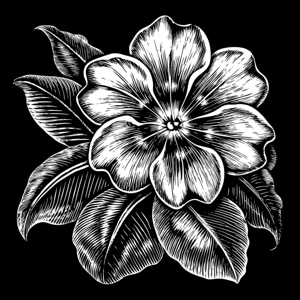 A black and white drawing of a flower with a leaf vector