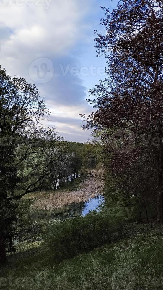 Scenic landscape of pruhonicky park in spring with cloudy sky, czech republic photo