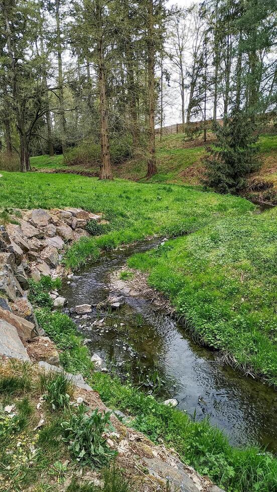 Small stream flowing through green grass in pruhonice park photo