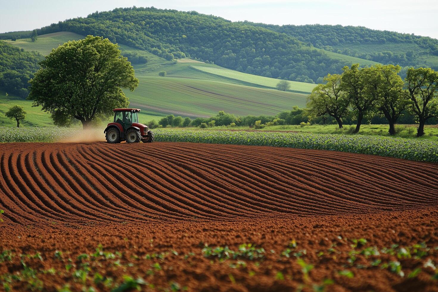 Cultivating the land to showcase the beauty and benefits of agriculture copy space photo