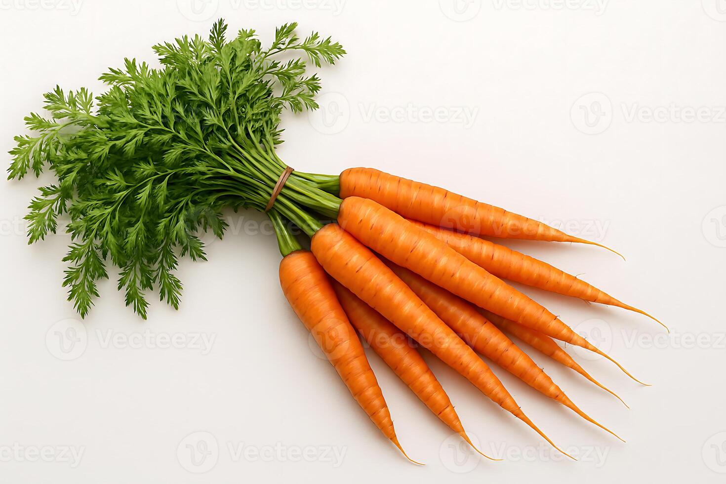 Bunch of fresh carrots with green tops on white background, organic root vegetables ideal for healthy cooking and clean eating photo