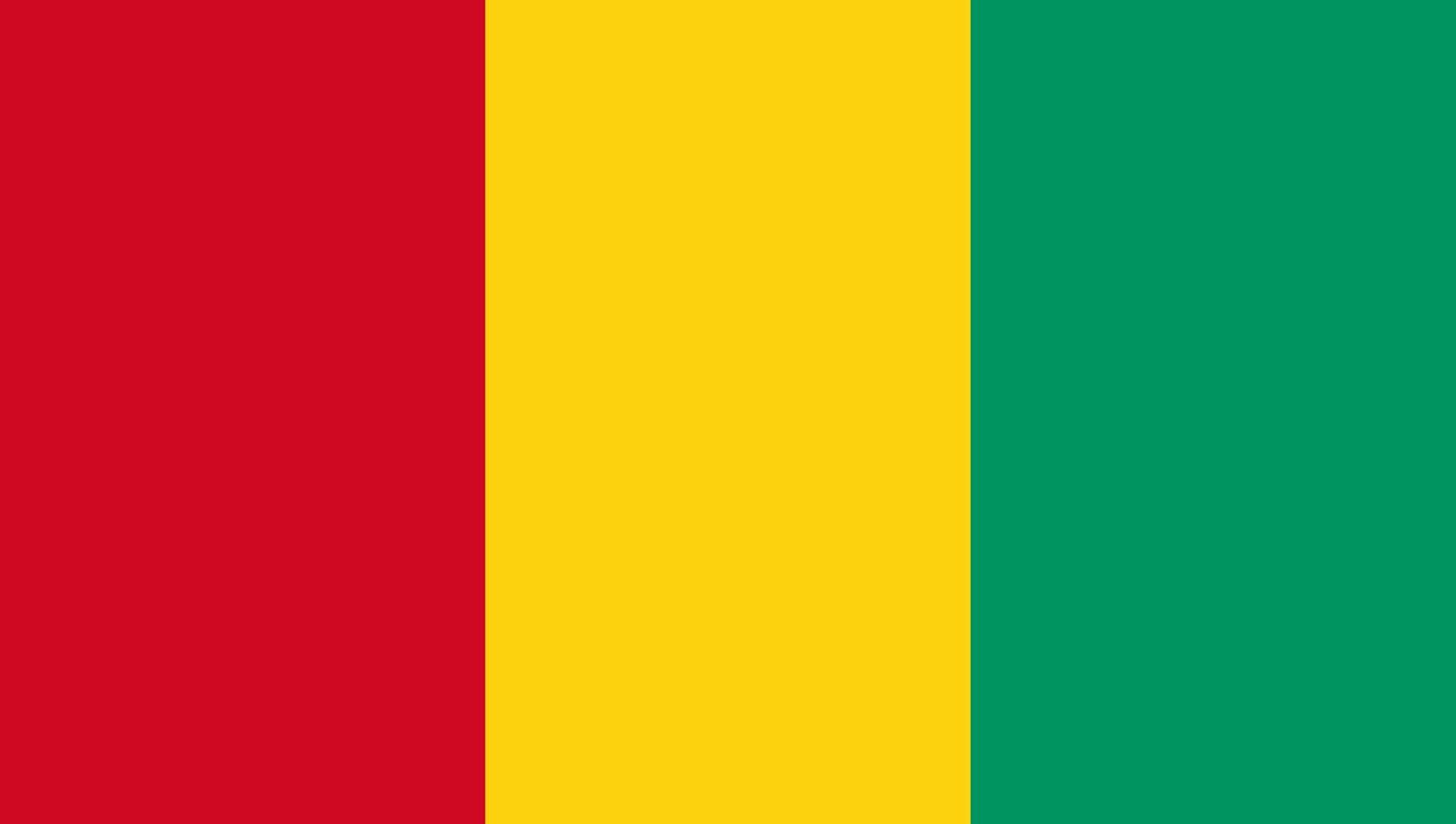 Guinea flag design. Guinea national flag illustration. Guinea official color flag design. vector