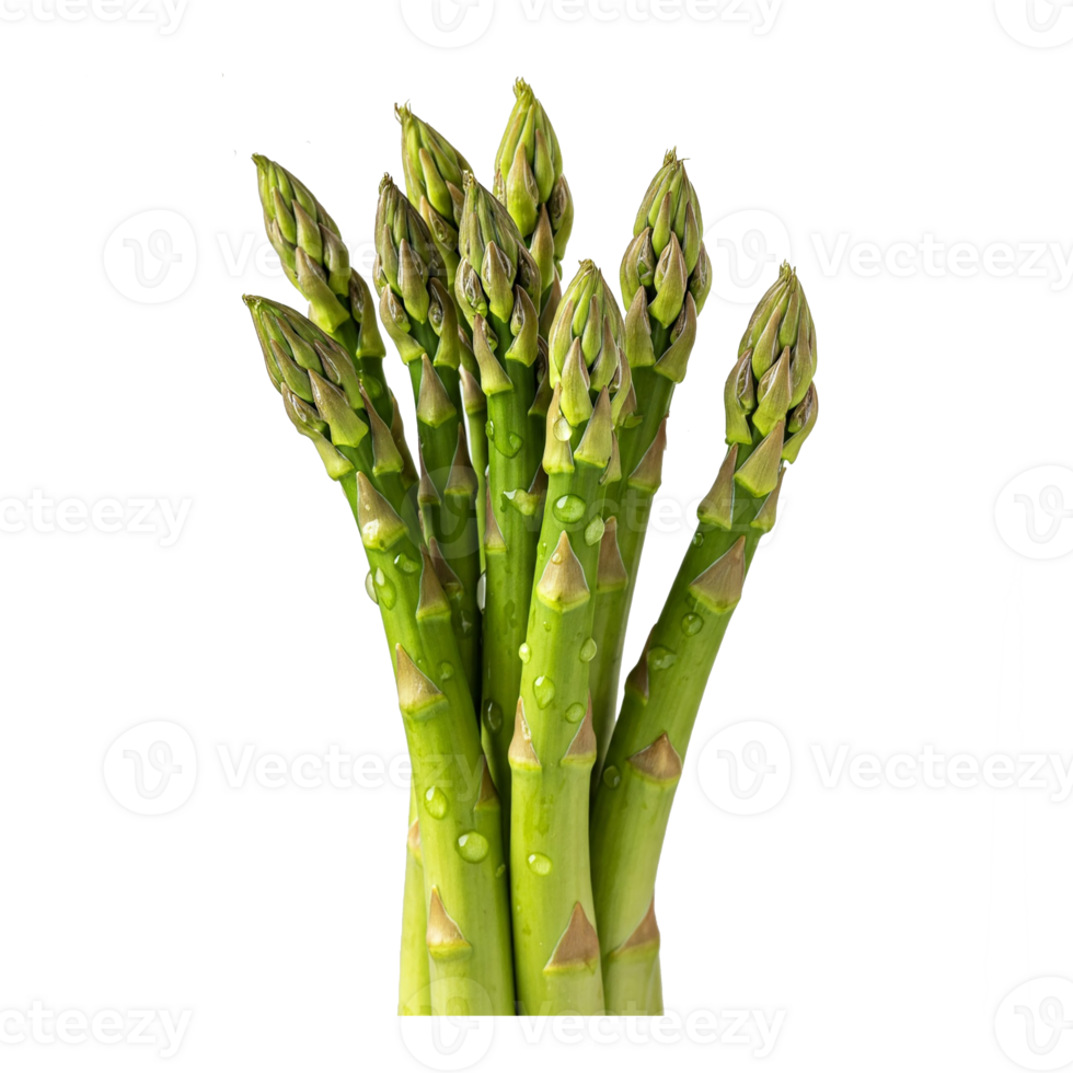 Fresh and appetizing green asparagus with dew drops. Perfect for advertising healthy eating, organic food and wellness products. For balanced diet and natural lifestyle. png