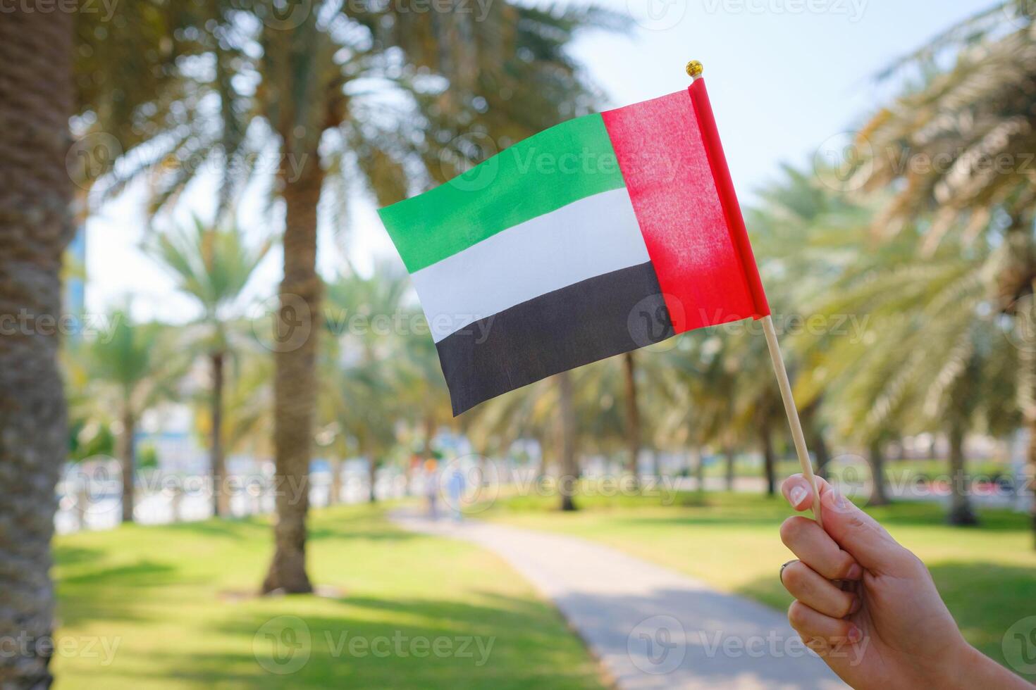 female hand holding tiny flag of UAE in city park photo