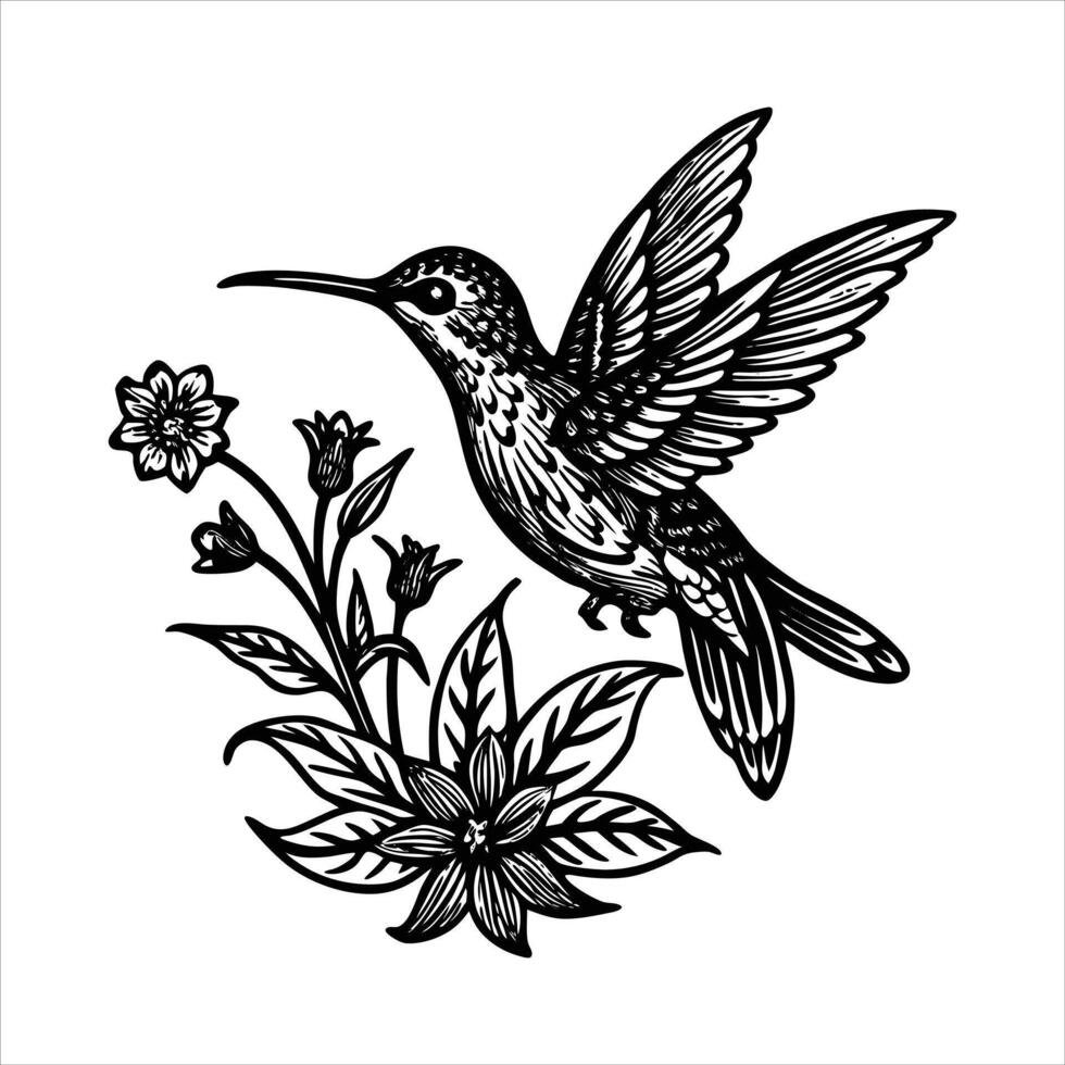 Hummingbird With Wildflower vector
