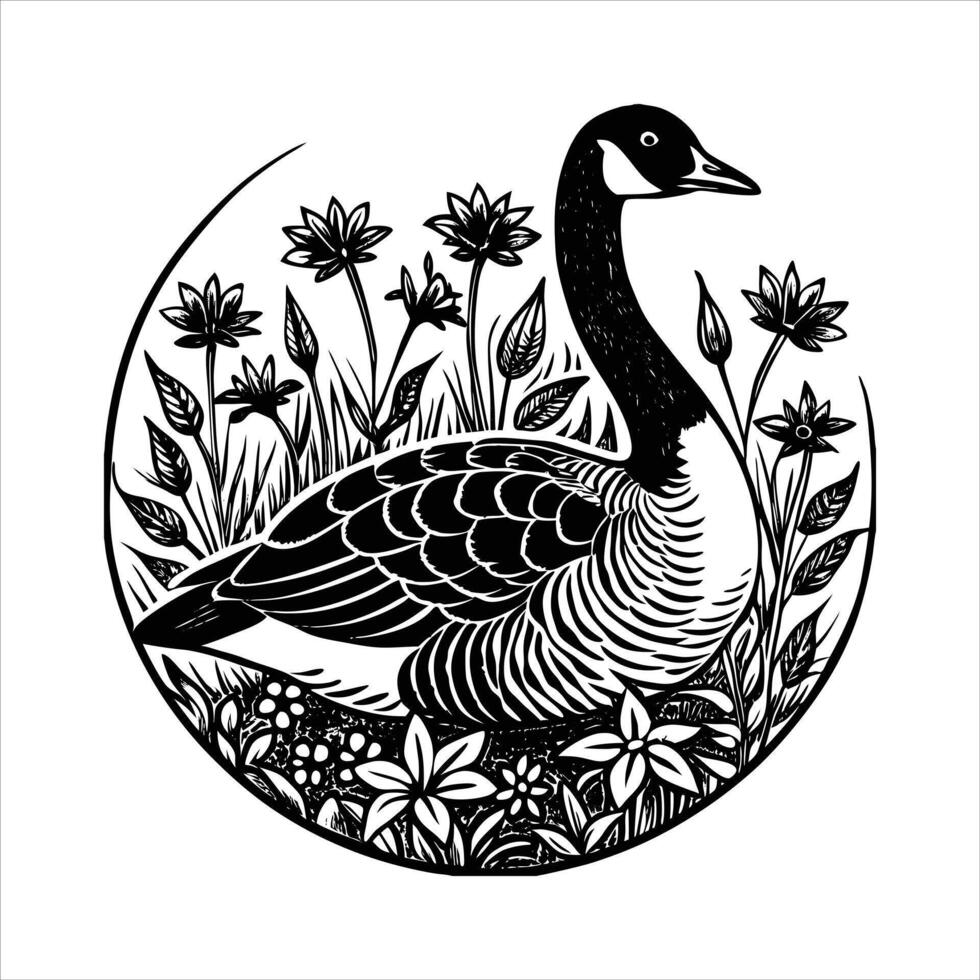 Canada goose lying down vector