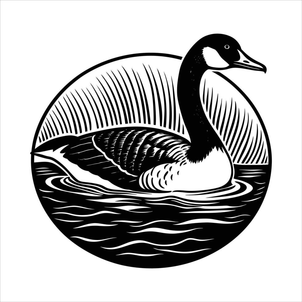 Canada Goose Lake Pictures vector