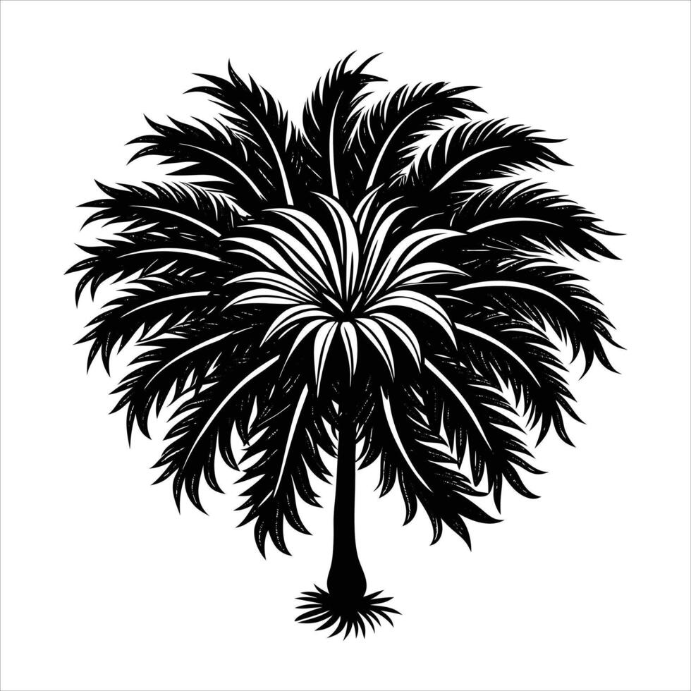A palm tree with jagged leaves vector