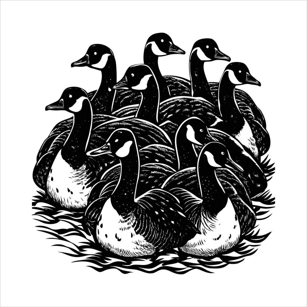 Canada Geese on Frozen vector