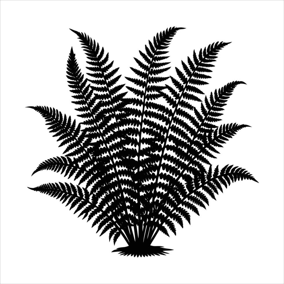 Curved Fern Leaf vector