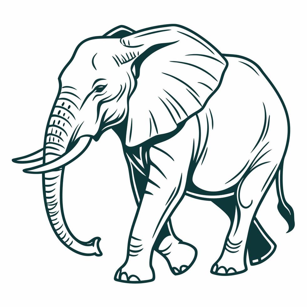An elephant is standing in the middle of a white background vector