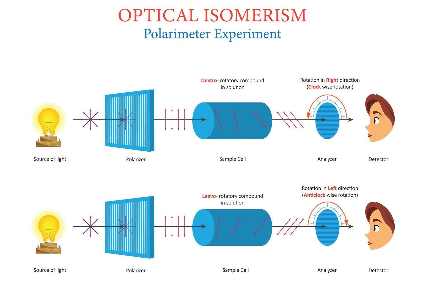 Polarimeter Experiment Diagram Showing Optical Isomerism in Dextro and Laevo Rotatory Solutions vector
