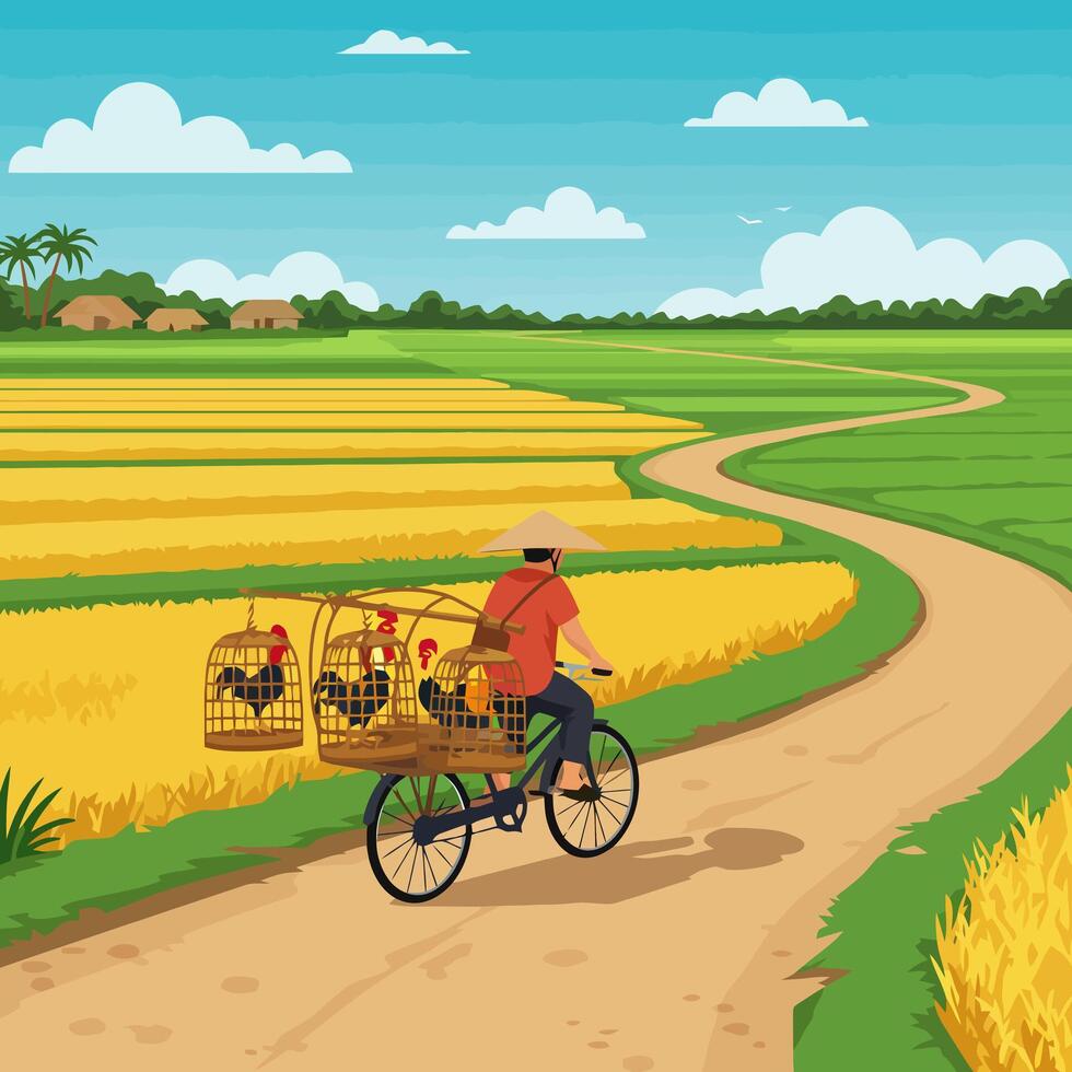 Man Riding Bicycle with Fowl Cages Through Rice Fields vector