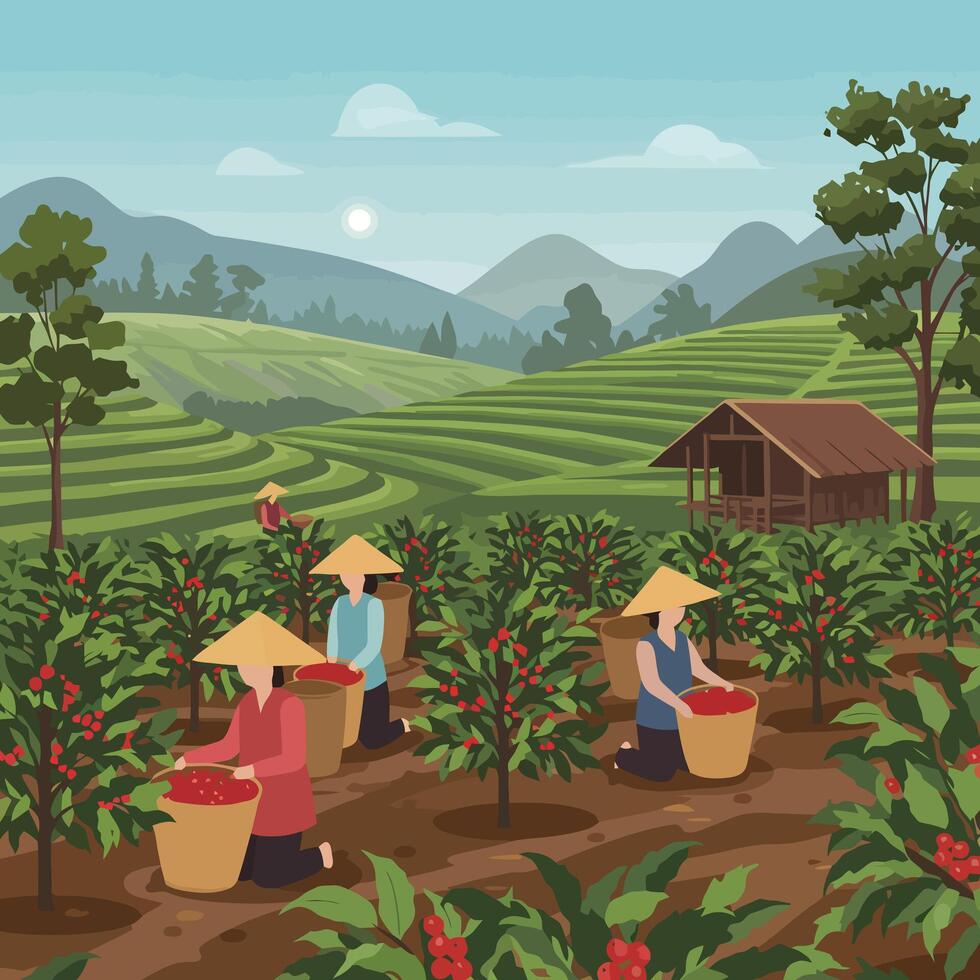 Harvesting Red Fruits on a Hillside Plantation with Workers vector