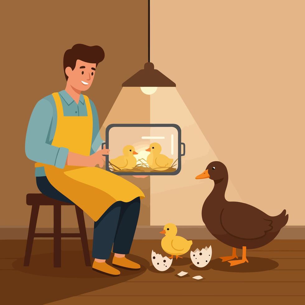 Ducklings Hatching with Man Holding Photo of Ducklings vector