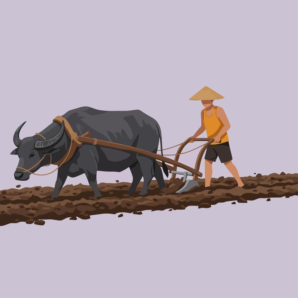 Plowing Field with Ox Farmer Traditional Cultivation vector